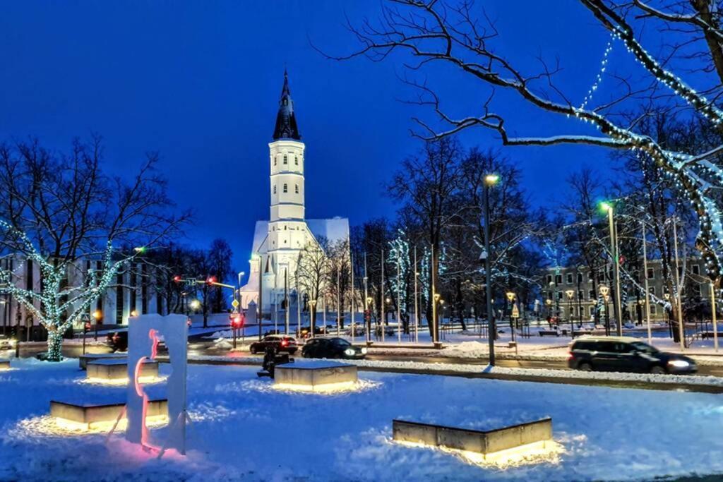 Lyra63 Large 80Sq M Top 14 Floor Šiauliai Kültér fotó